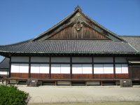 IMG_3303.JPG